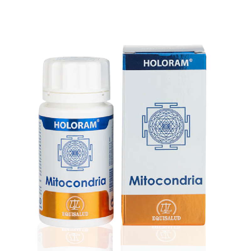 26_Mitocondria_HoloRam